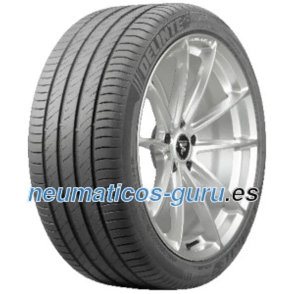 Neumático DS2 165/65 R13