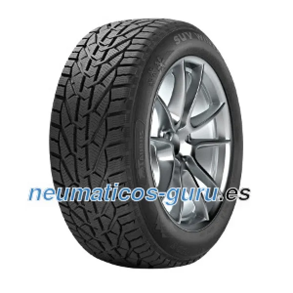 Taurus SUV Winter