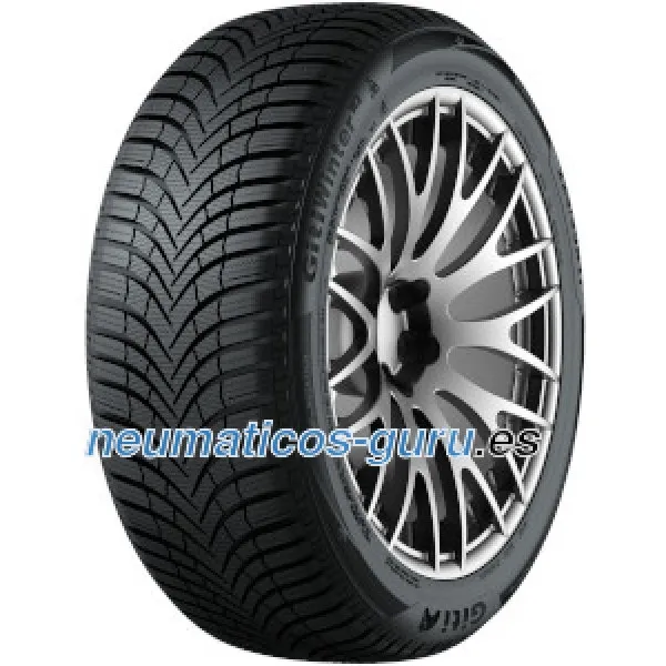 Giti Winter W2